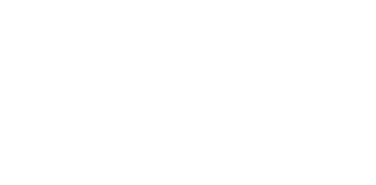 عن المنصة